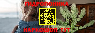 шишки Ипатово