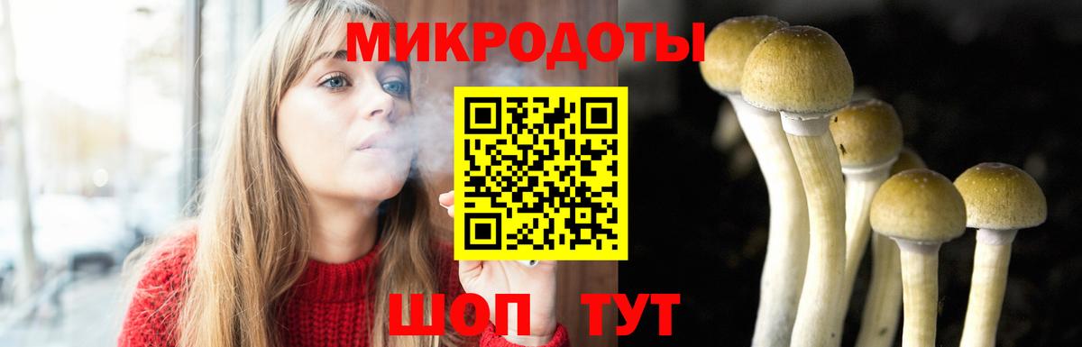 Сургут  Галлюциногенные грибы Magic Shrooms  Вход с VPN 